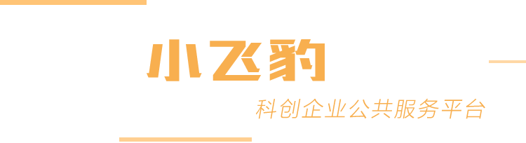 小飞豹